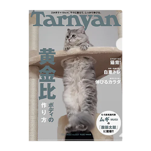 筋トレにゃんこ（Tarnyan） クリアファイル