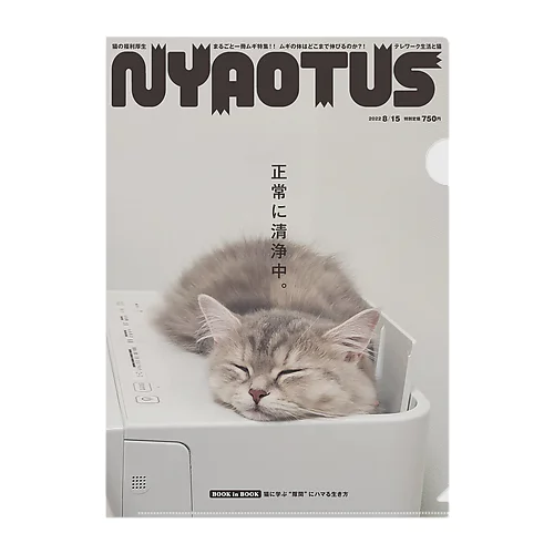 心なしか綺麗な空気（NYAOTUS） クリアファイル