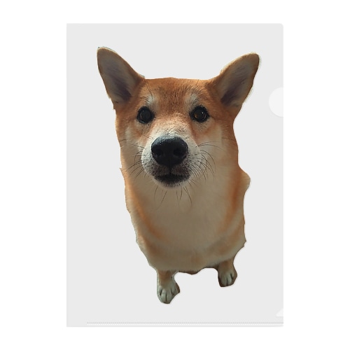 theしばいぬ、キッキ Clear File Folder
