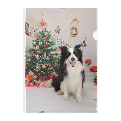 クリスマスボーダーコリー Clear File Folder