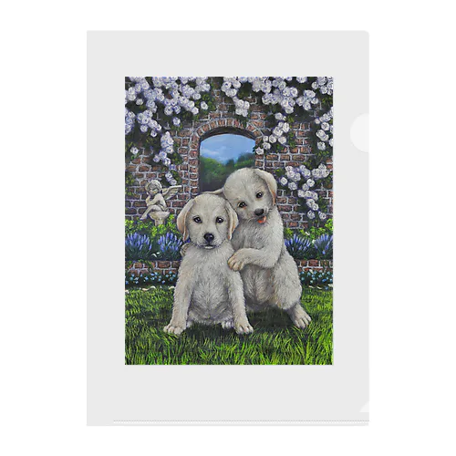 Animal Healing Clear File Folder