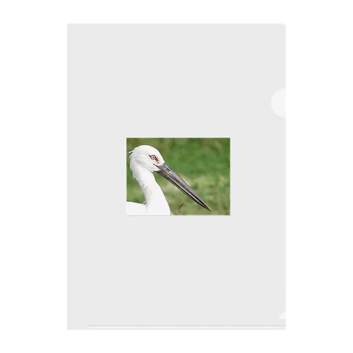 Stork VOL.2 Clear File Folder