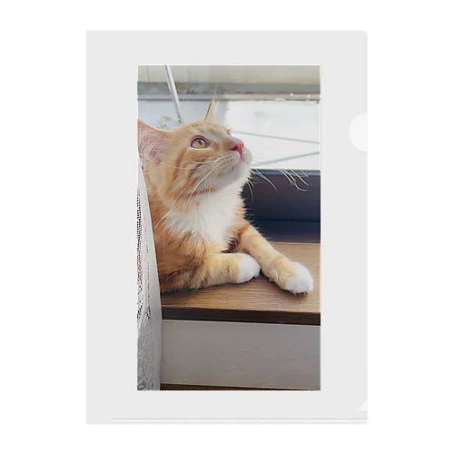 窓辺の猫 クリアファイル