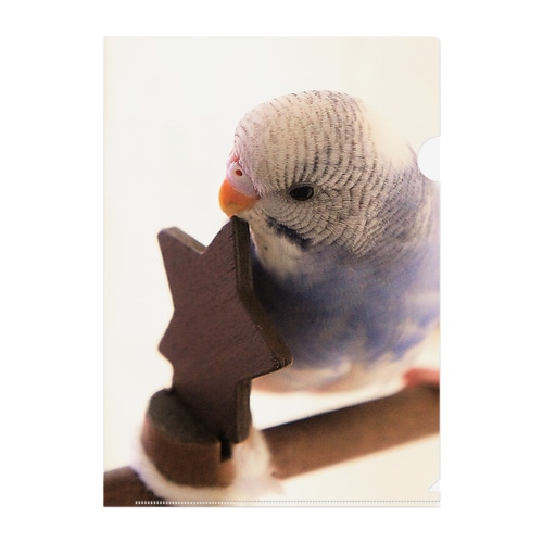 インコのひなたぼっこ Clear File Folder