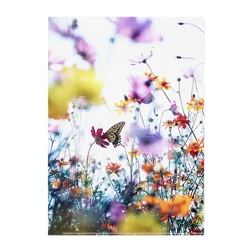 秘密の森 Clear File Folder