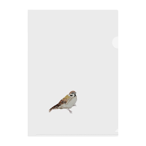 スズメ でっす❣️ Clear File Folder