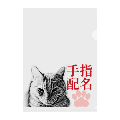 指名手配 | JOYFUL x JOYFUL DESIGNS 0aC Clear File Folder