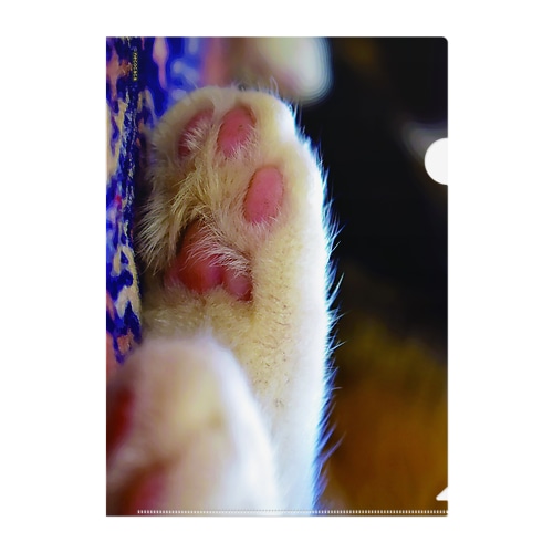 猫の手 Clear File Folder