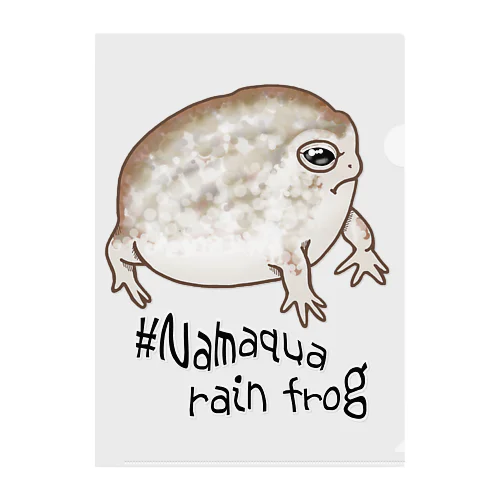 Namaqua rain frog(なまかふくらがえる) 英語バージョン Clear File Folder