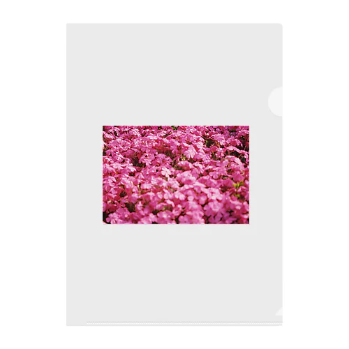 芝桜 Clear File Folder