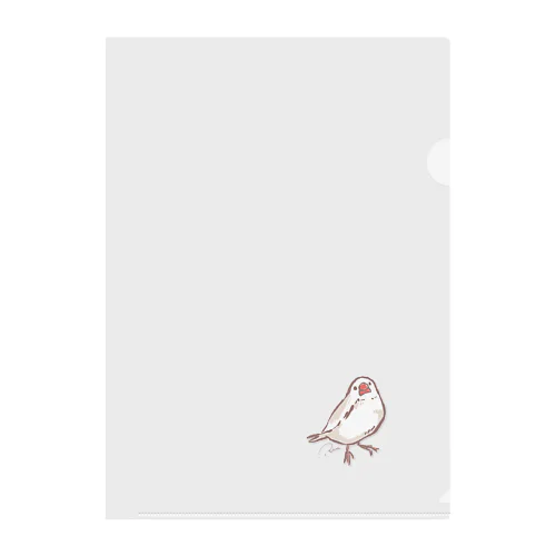 首かしげ文鳥 Clear File Folder