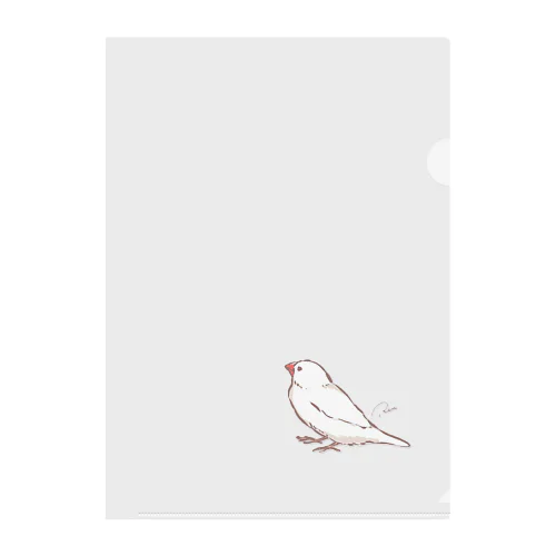 見つめる文鳥 Clear File Folder