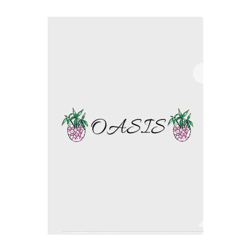 OASIS Clear File Folder