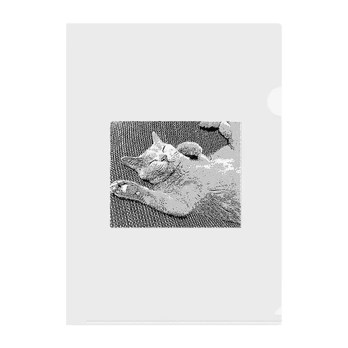 The Smiling Cat Clear File Folder