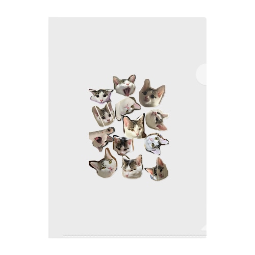 ねこ Clear File Folder