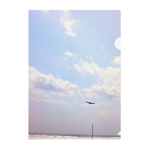 200705031110000　空 Clear File Folder