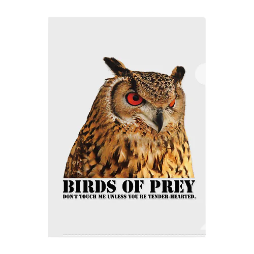 BIRDS OF PREY ベンガルワシミミズク Clear File Folder
