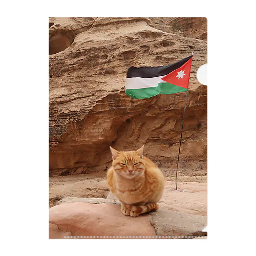 【世界一周旅】ヨルダン ペトラ遺跡で出会ったネコ Clear File Folder