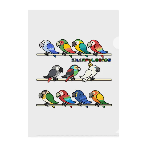 COLORFUL BIRDS Clear File Folder