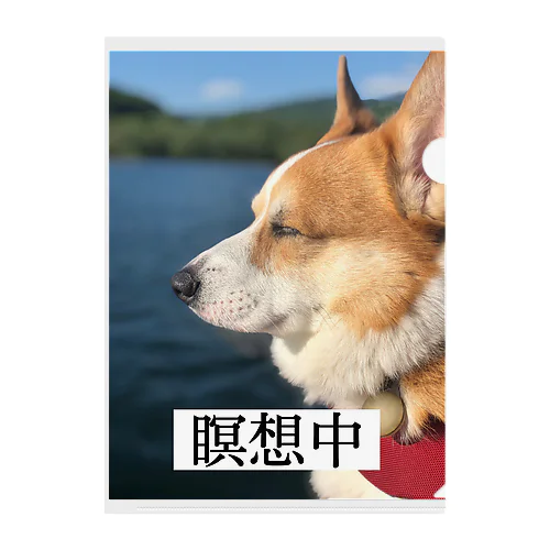 瞑想コーギー Clear File Folder