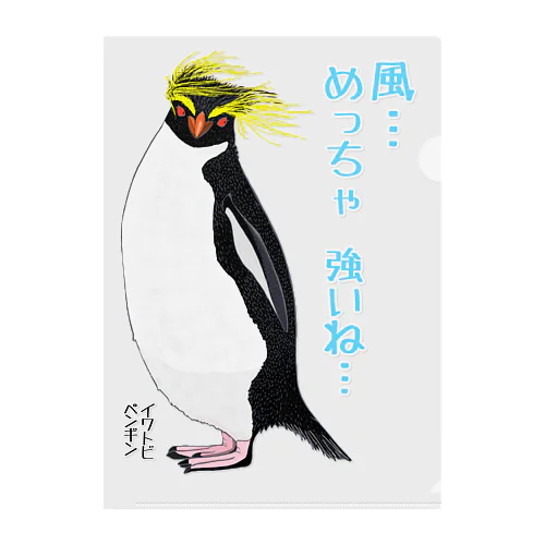 風に吹かれるイワトビペンギンさん(文字ありバージョン Clear File Folder