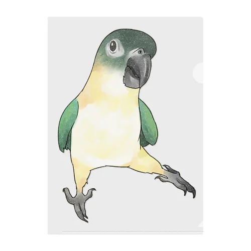 ご機嫌なズグロシロハラインコのカイ君【まめるりはことり】 Clear File Folder