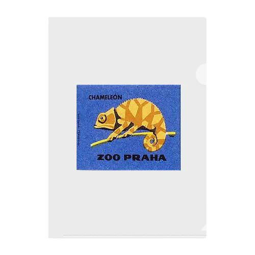 チェコ・プラハ動物園　カメレオン Clear File Folder