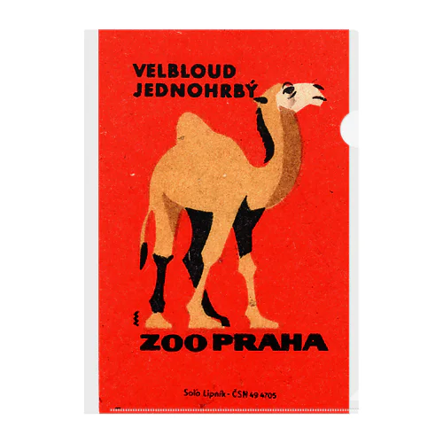 チェコ　プラハ動物園　ラクダ クリアファイル