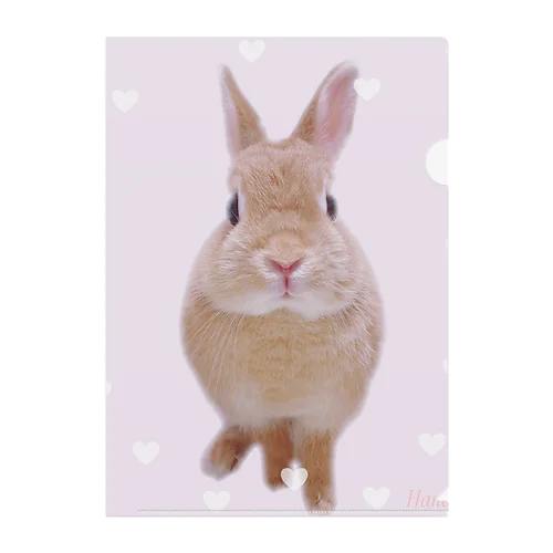 Lovely Hana シリーズ Clear File Folder