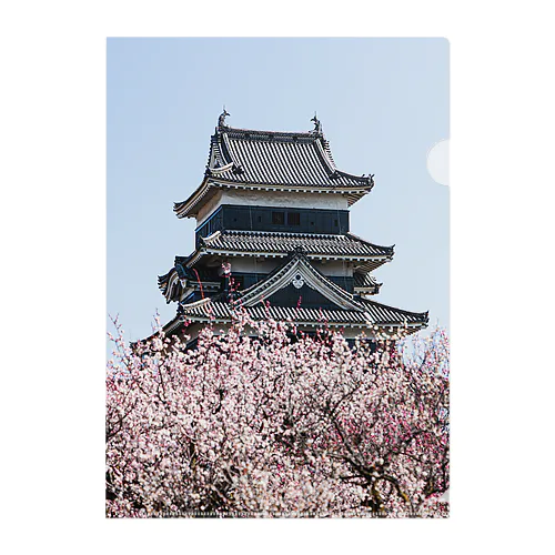 松本城と梅 Clear File Folder