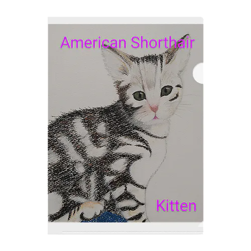 猫さんAmericanshorthair　縦 Clear File Folder