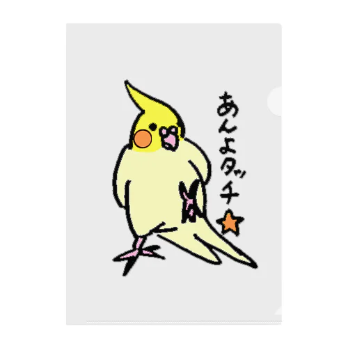 オカメインコ　ポインチョ　あんよタッチ　 Clear File Folder