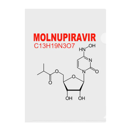 モルヌピラビル クリアファイル