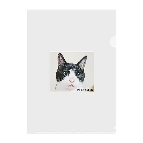 Love Cats Max ハチワレちゃん Clear File Folder