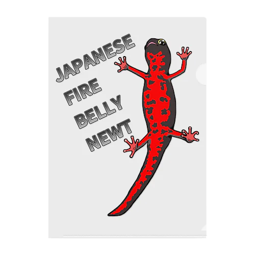 JAPANESE FIRE BELLY NEWT (アカハライモリ)　 Clear File Folder