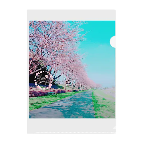 桜２ Clear File Folder