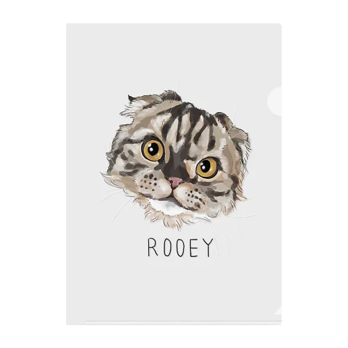 rooey Clear File Folder