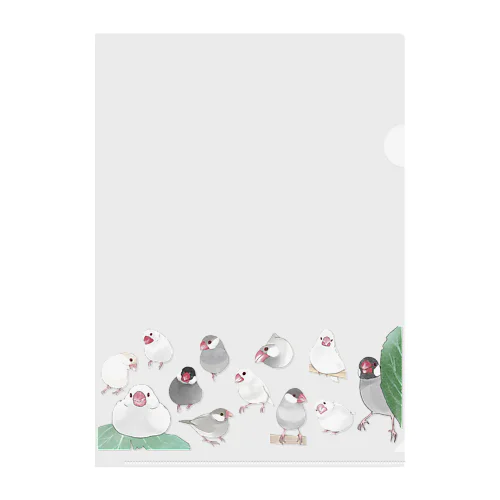 あつまれ文鳥ちゃん【まめるりはことり】 Clear File Folder