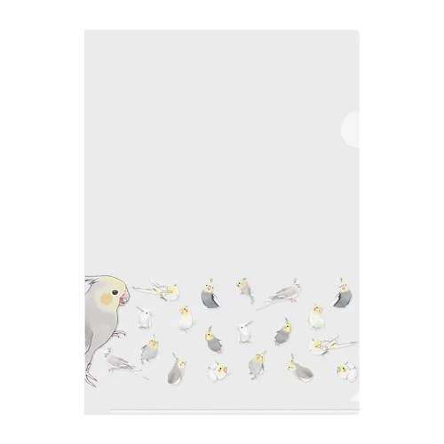 あつまれオカメインコちゃん【まめるりはことり】 Clear File Folder