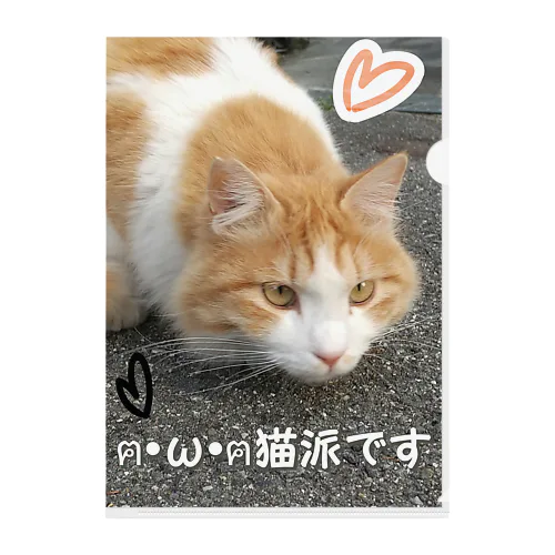 猫派です グッズ Clear File Folder