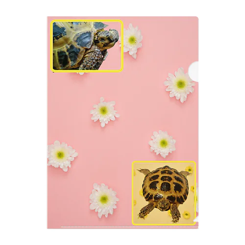 ホントはかわいい Clear File Folder