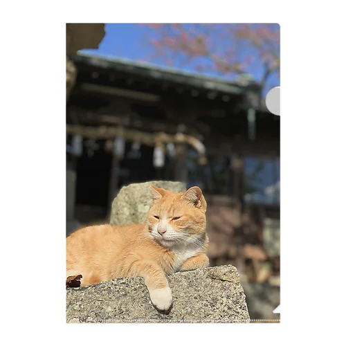 男木島ねこ2 Clear File Folder