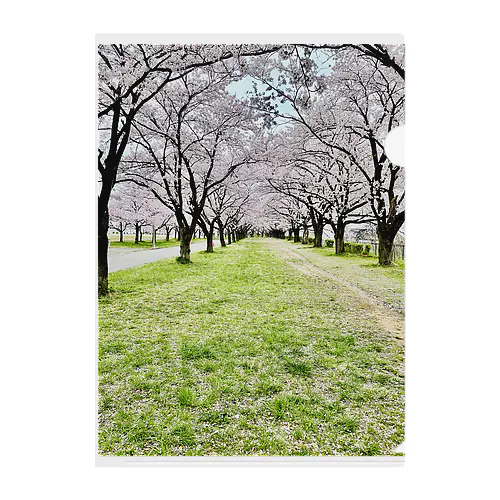 桜並木道 Clear File Folder