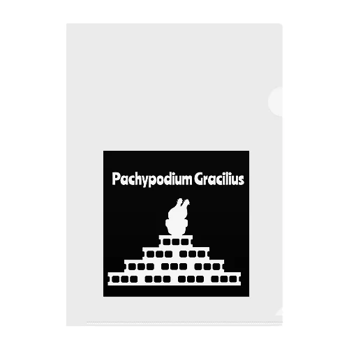 Pachypodium Gracilius  Clear File Folder