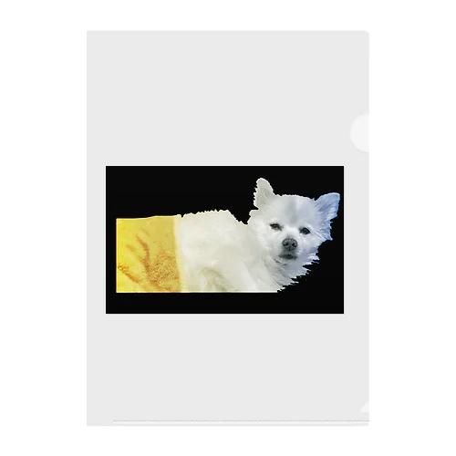起きた犬 Clear File Folder