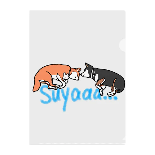 スヤァ…柴犬 클리어파일