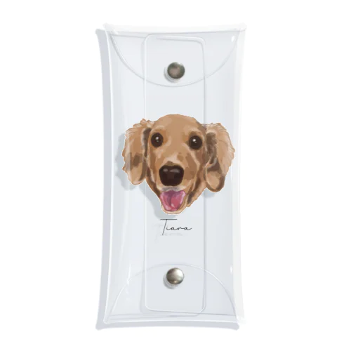tiara Clear Multipurpose Case