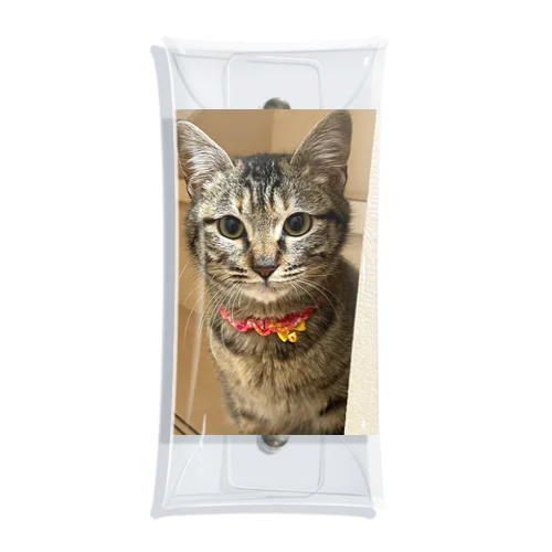 キジ猫の憂鬱 Clear Multipurpose Case