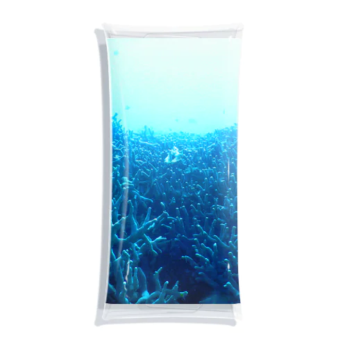 青い珊瑚礁 Clear Multipurpose Case