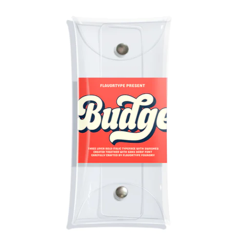 Budge Clear Multipurpose Case